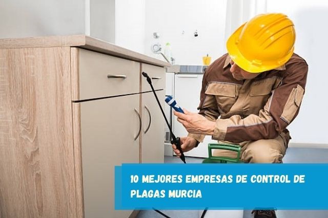 10 mejores empresas de control de plagas Murcia